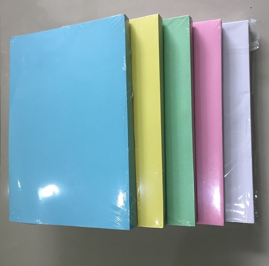 Bìa Thái A4 MM 5X (Xấp 100 Cái)